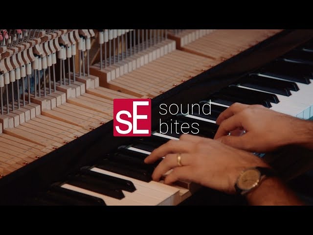 sE Electronics RN17 по цене 73&nbsp;830 ₽