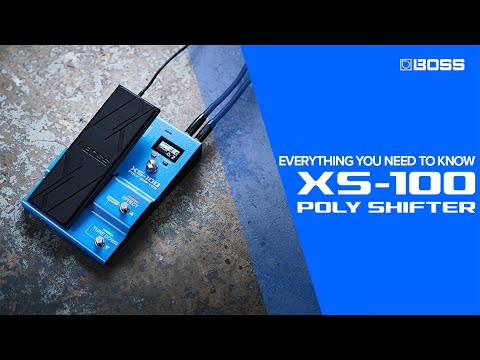 Boss XS-100 Poly Shifter по цене 31&nbsp;670.00 ₽