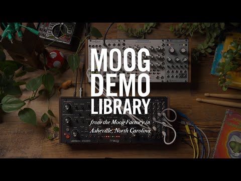 Moog Labyrinth по цене 99 900 ₽