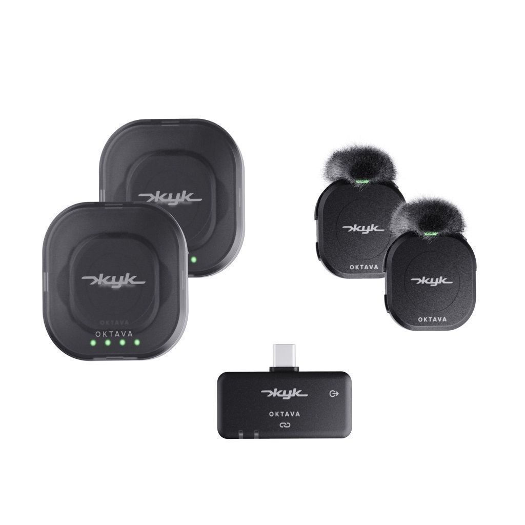 Октава Жук-2-Ч по цене 21&nbsp;390 ₽