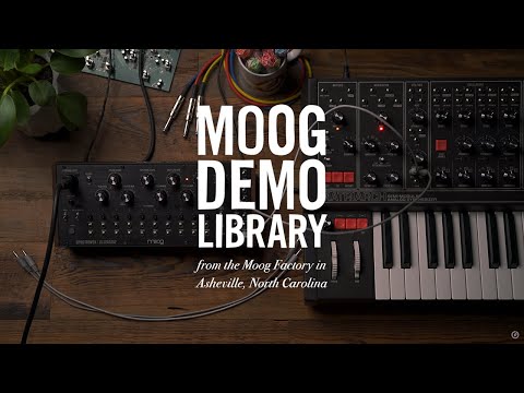 Moog Spectravox по цене 93 150 ₽