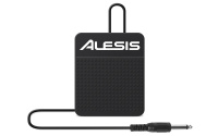 Alesis ASP-1