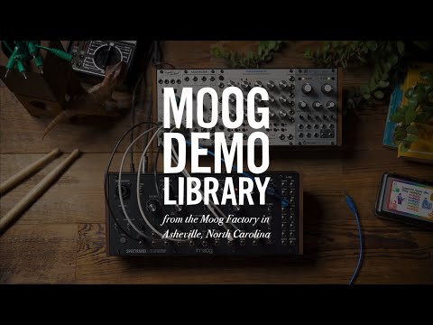 Moog Spectravox по цене 93 150 ₽