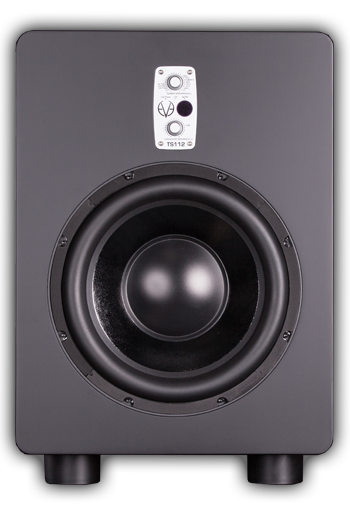 Eve Audio TS112 по цене 135 020.00 ₽