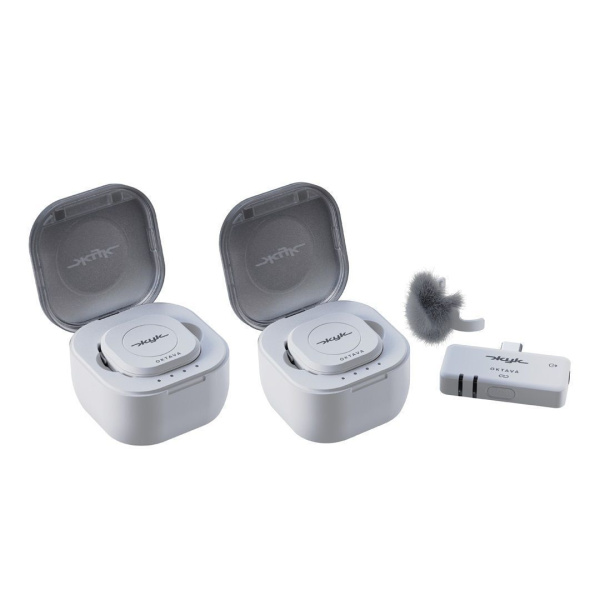 Октава Жук-2-Б по цене 21&nbsp;390 ₽