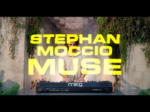 Moog Muse по цене 388 000 ₽