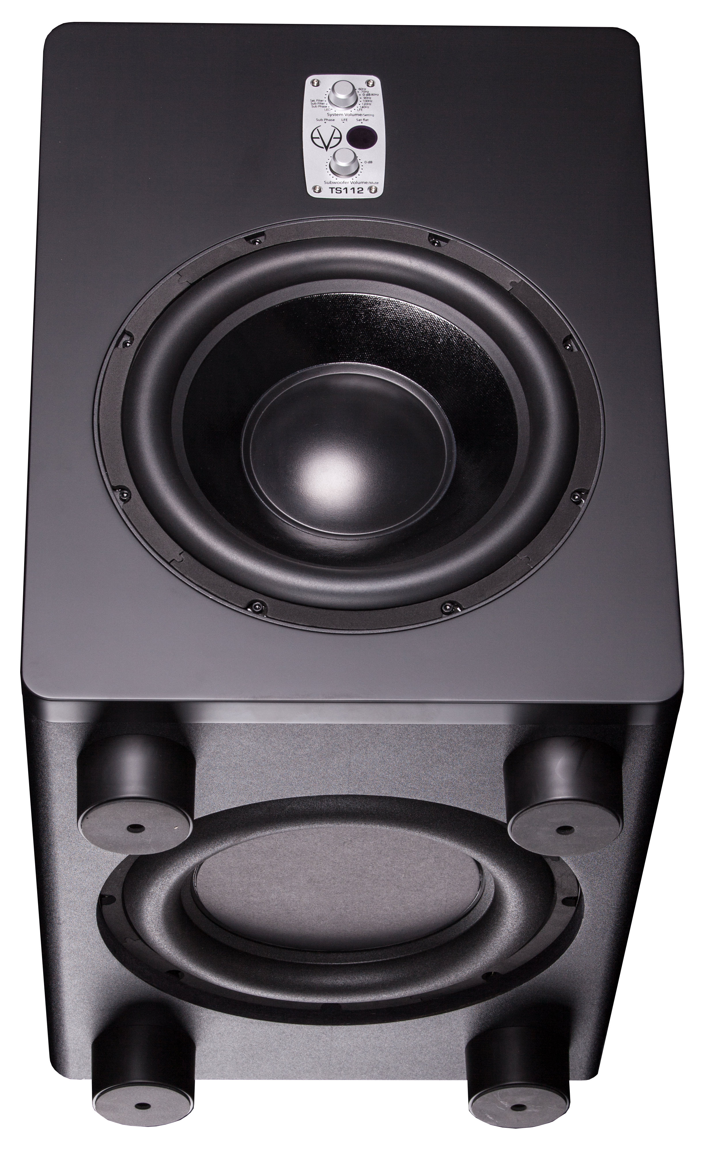 Eve Audio TS112 по цене 135 020.00 ₽