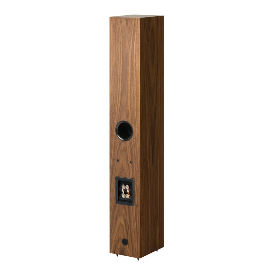 Pro-Ject Speaker Box 12 E Carbon Walnut по цене 140 000 ₽