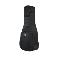 Gator G-PG-ACOUELECT
