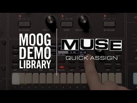 Moog Muse по цене 388 000 ₽