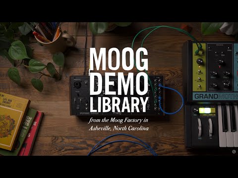 Moog Spectravox по цене 93 150 ₽