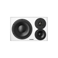 Dynaudio LYD 48 R B/W по цене 152 150 ₽