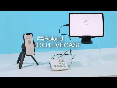 Roland Go:Livecast по цене 34 500 ₽