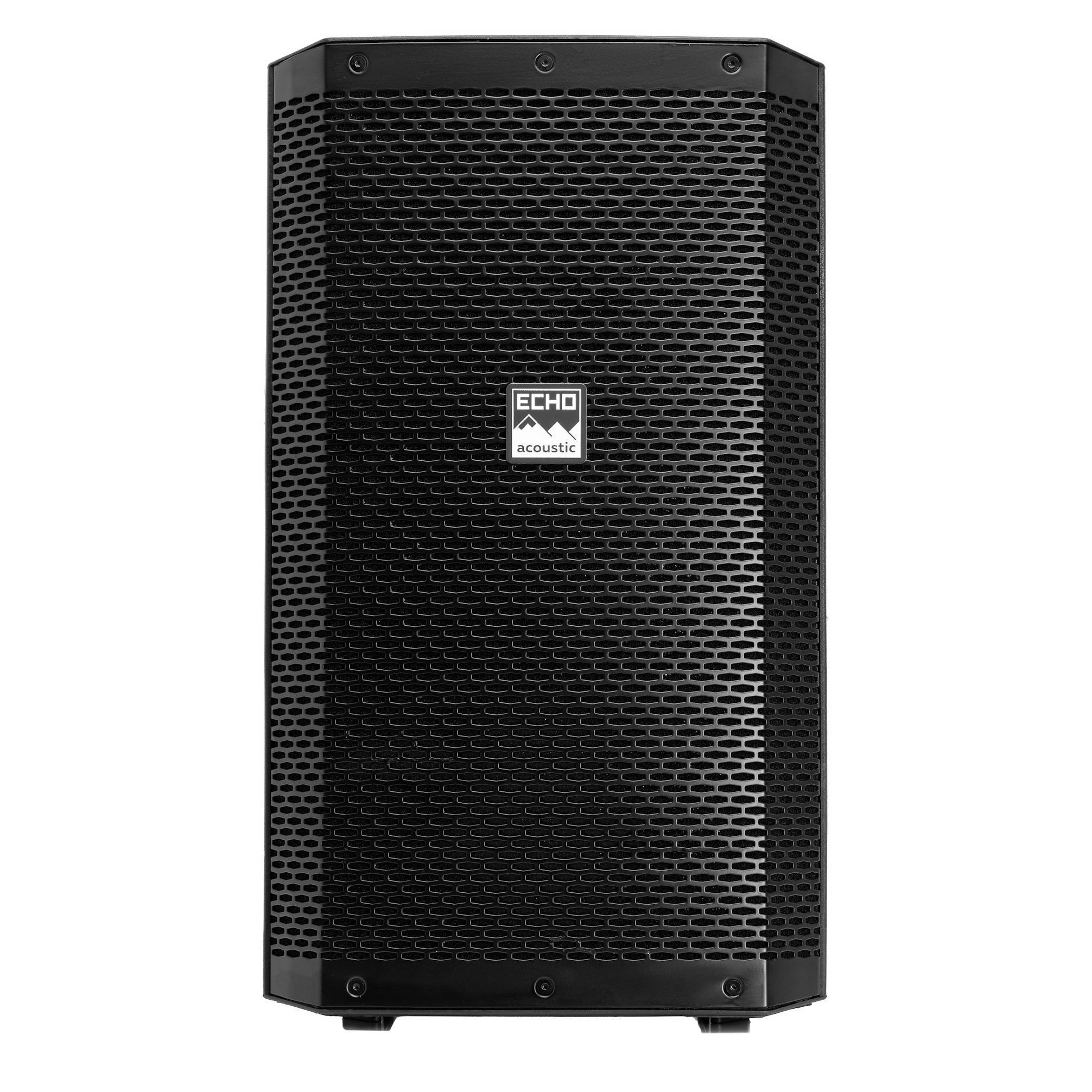 Echo Acoustic EX112P по цене 33 740 ₽