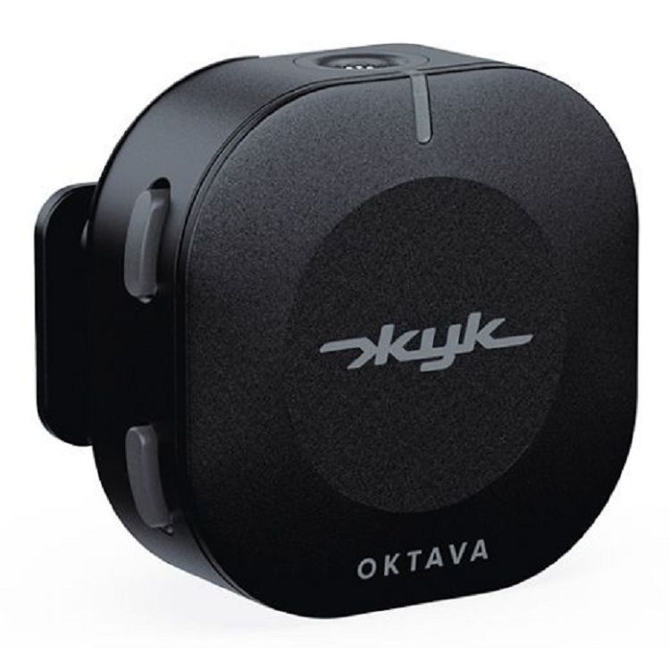 Октава Жук-1-Ч по цене 14&nbsp;500 ₽