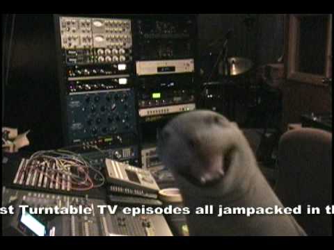 sE Electronics RNT по цене 199&nbsp;580 ₽