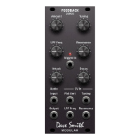 Dave Smith DSM03 Feedback Module по цене 25 300 ₽
