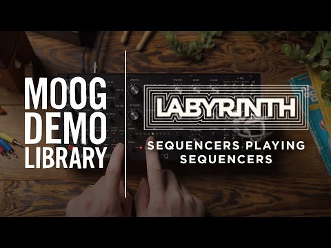 Moog Labyrinth по цене 99 900 ₽