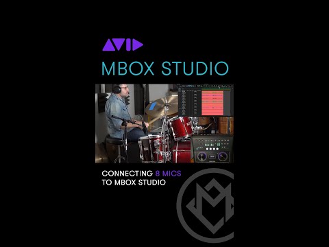 Avid MBOX Studio по цене 139 940 ₽