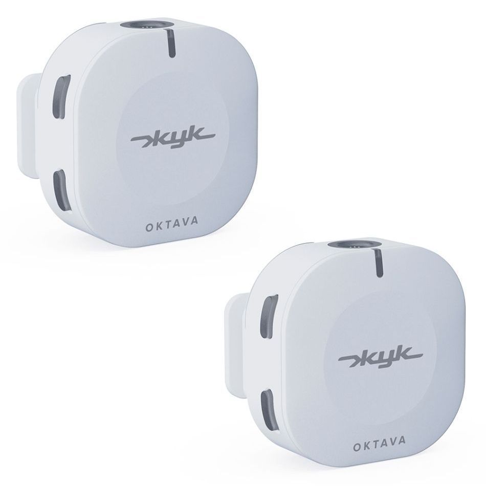 Октава Жук-2-Б по цене 21&nbsp;390 ₽