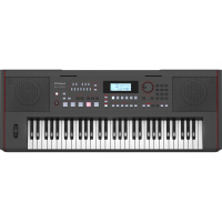 Roland E-X50