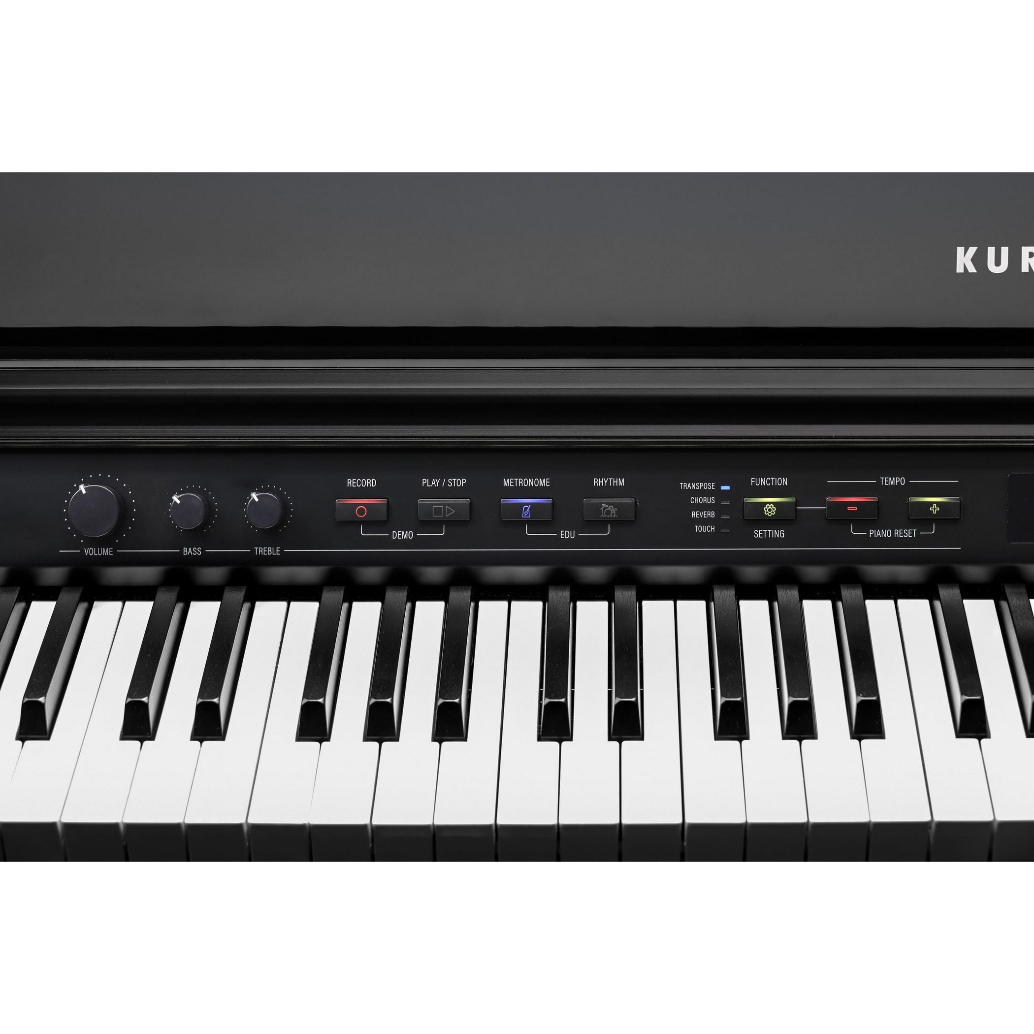 Kurzweil CUP G1W BP по цене 361 860 ₽