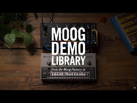 Moog Spectravox по цене 93 150 ₽