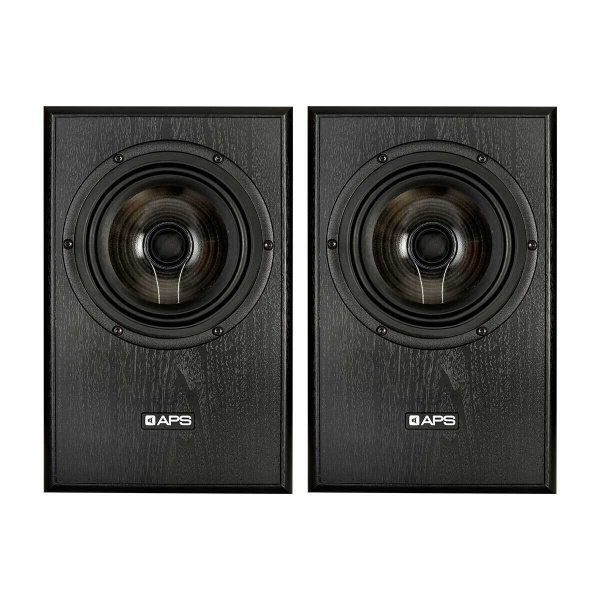 APS Coax 2 Black Pair по цене 146 200.00 ₽