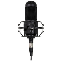 Radiotehnika MCD-01 по цене 9 990 ₽