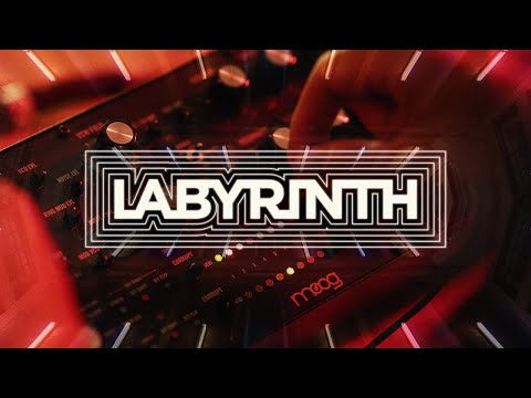 Moog Labyrinth по цене 99 900 ₽