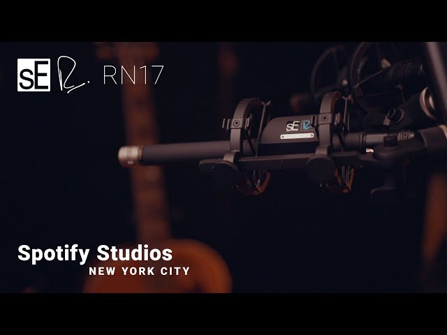 sE Electronics RN17 по цене 73&nbsp;830 ₽