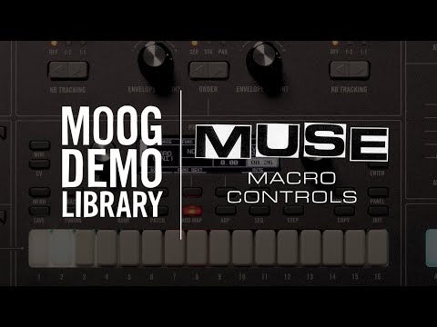 Moog Muse по цене 388 000 ₽