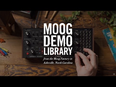 Moog Labyrinth по цене 99 900 ₽