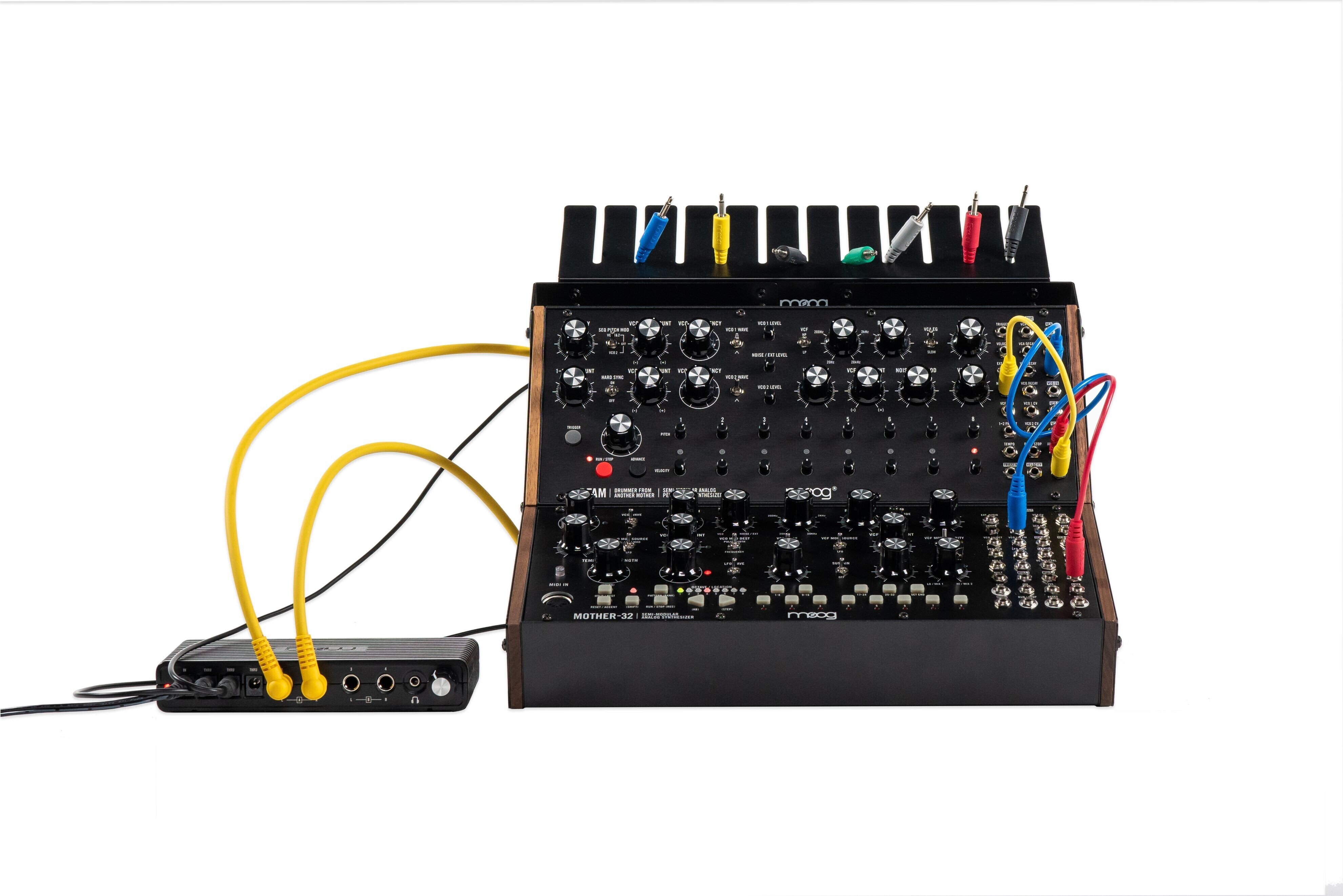 Moog Sound Studio Mother-32 & DFAM по цене 123 200 ₽