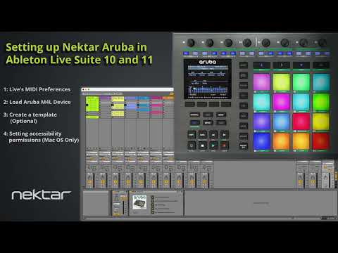 Nektar Aruba по цене 34 000 ₽