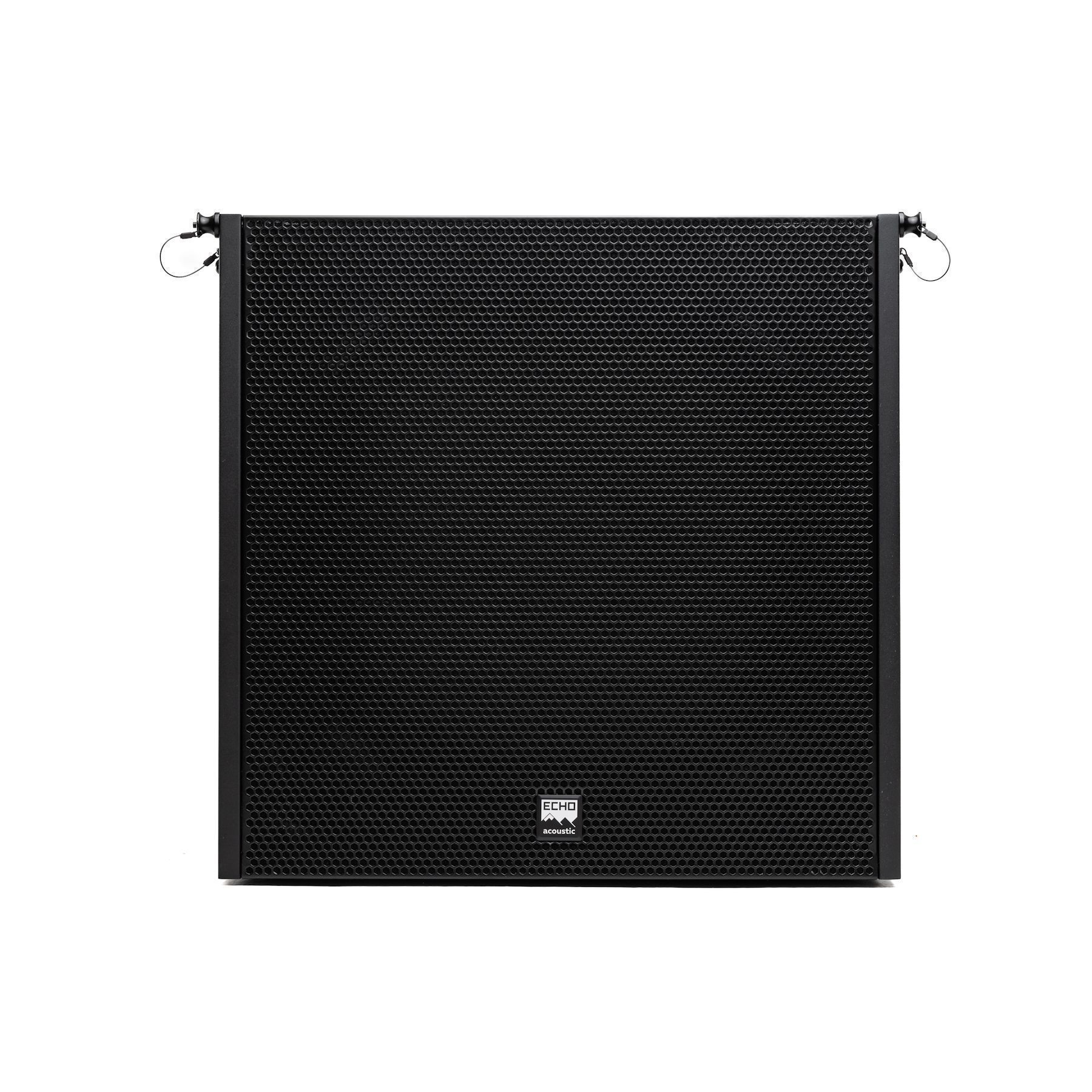 Echo Acoustic EVL208SP-DSP по цене 148 000 ₽