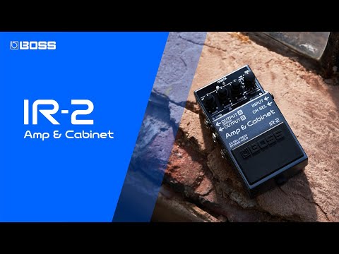 Boss IR-2 Amp & Cabinet по цене 21&nbsp;860 ₽
