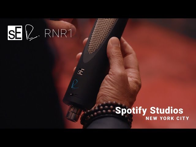 sE Electronics RNR1 по цене 134 850.00 ₽