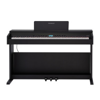 Rockdale Etude 256 BK по цене 59&nbsp;900.00 ₽