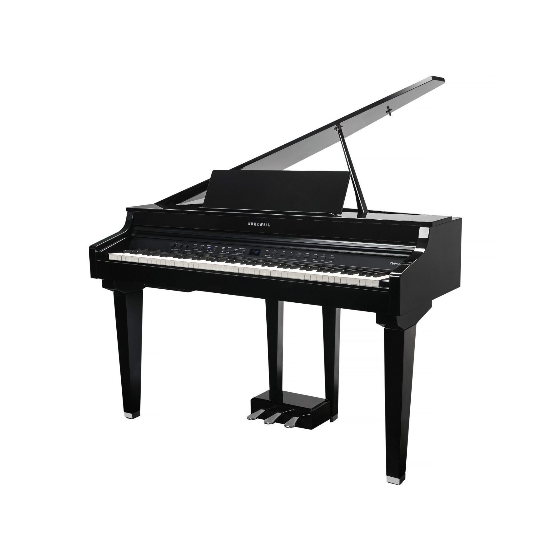 Kurzweil CUP G1W BP по цене 361 860 ₽