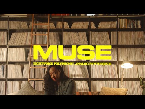 Moog Muse по цене 408 000 ₽