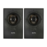 APS Coax 2 Black Pair