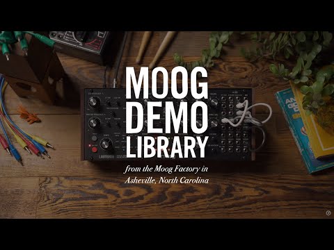 Moog Labyrinth по цене 99 900 ₽