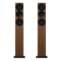 Amphion Helium520 Walnut по цене 319 900 ₽