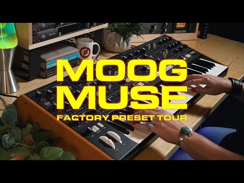 Moog Muse по цене 388 000 ₽