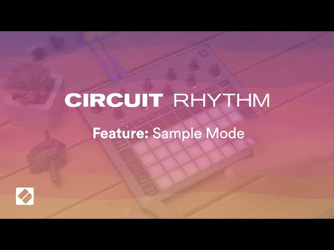 Circuit Rhythm - Using Sample Mode // Novation