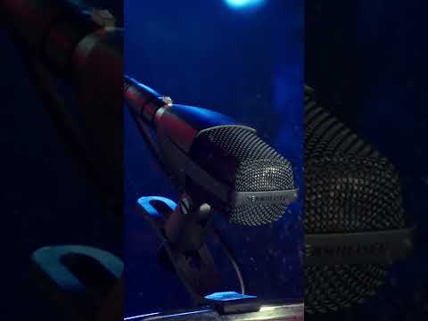 Sennheiser MD 421 Kompakt по цене 34&nbsp;920 ₽