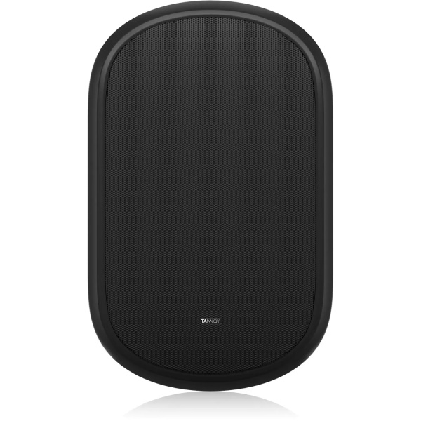 Tannoy DVS 601 по цене 14 880 ₽