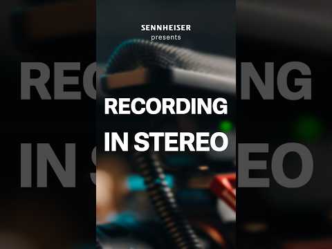 Lynx Studio E44 по цене 102&nbsp;000.00 ₽