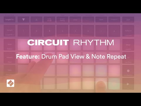 Circuit Rhythm - Drum Pad View & Note Repeat // Novation